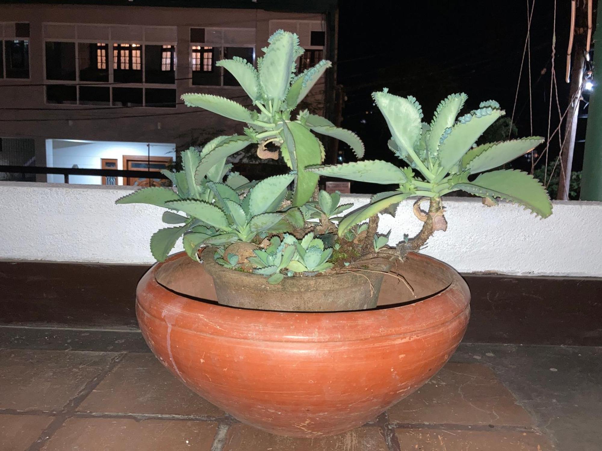 Reverie Hill Bungalow, Kandy Dış mekan fotoğraf